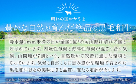 リブ or サーロイン ステーキ 1kg  小分け