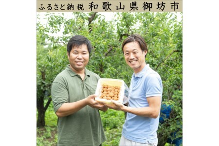 【0508-3】紀州南高梅 桃風味梅干 2kg（和歌山県産）