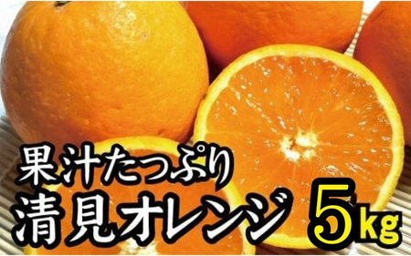 【農家直送】果汁たっぷり！清見オレンジ 約5kg  有機質肥料100%　 サイズ混合　※2026年3月上旬より順次発送予定（お届け日指定不可）【nuk112C】