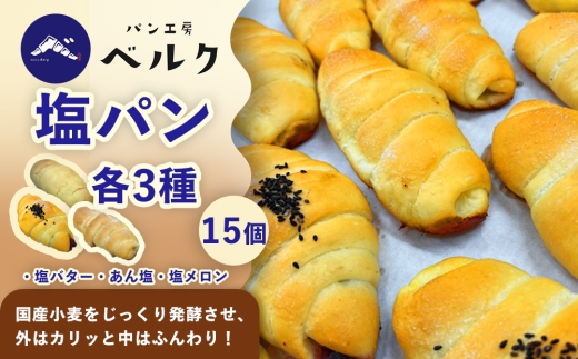 塩パン全種食べ比べ 15個セット / 塩パン あん塩 メロンパン 食べ比べ 惣菜パン パンセット 冷凍パン 朝食 おやつ ぱん 菓子パン ベーカリー / 稲沢市 / パン工房ベルク [BMAF012]