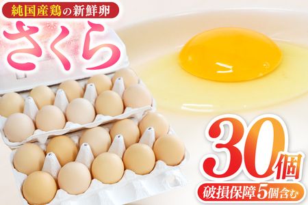 純国産鶏【さくら】純たまご30個入り 破損保証5個を含む (AJ027) 国産 卵 産地直送 卵 飼料にこだわった 卵 鶏卵