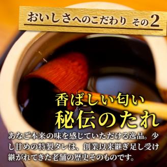 焼あなご（3～5串）《 魚介類 アナゴ 穴子 あなご 焼きあなご 海鮮 天然 ふるさと納税 あなご 加古川市 パリパリ 美味しい 穴子丼 串焼き お取り寄せ 人気 ギフト プレゼント 送料無料 おすす