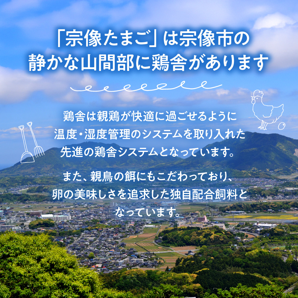 JAむなかたよりお届け！宗像たまご60個（55個＋補償5個）【JAほたるの里】_HA0916