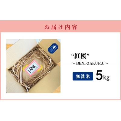 ふるさと納税 碧南市 【お米マイスター】めでたいお米で御祝いを彩り “紅桜” 無洗米5kg 黒米 古代米　H056-117 |  | 03