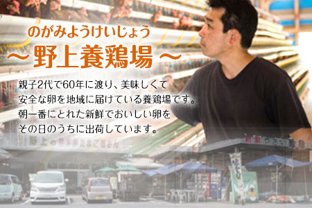 朝獲れ卵 味宝卵 (80個) 卵 Lサイズ 鶏卵 野上養鶏場《90日以内に出荷予定(土日祝除く)》