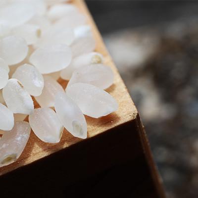 ふるさと納税 新庄市 黒澤のササニシキ 1kg 精米 |  | 01