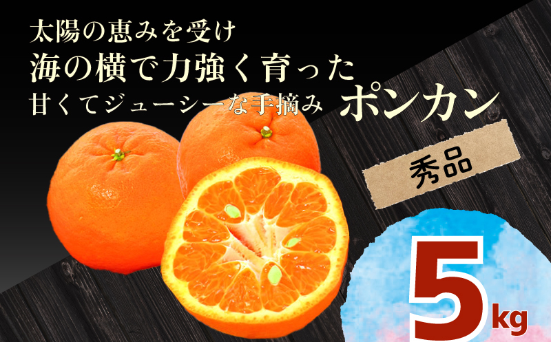 【早期予約】大人気！安和 ポンカン 秀品 5kg 発送期間：2025年1月中旬～順次発送