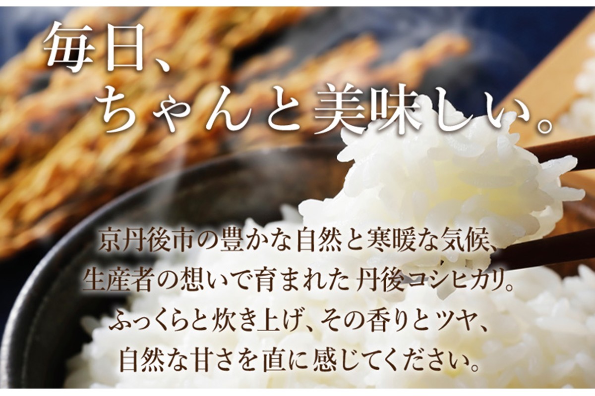 2025年産　京丹後産コシヒカリ 玄米10kg