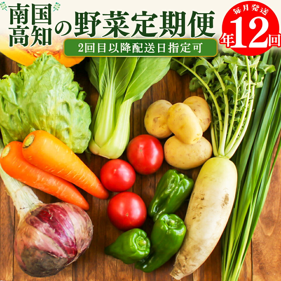 【ふるさと納税】年12回発送！＜南国高知から直送！旬の季節のお野菜定期便（7～9品）＞毎月お届け 野菜セット 野菜便 詰め合わせ 【冷蔵】【常温】 旬の時期にお届け 2回目以降、着日時間指定可能 こうち育ち 佐川町
