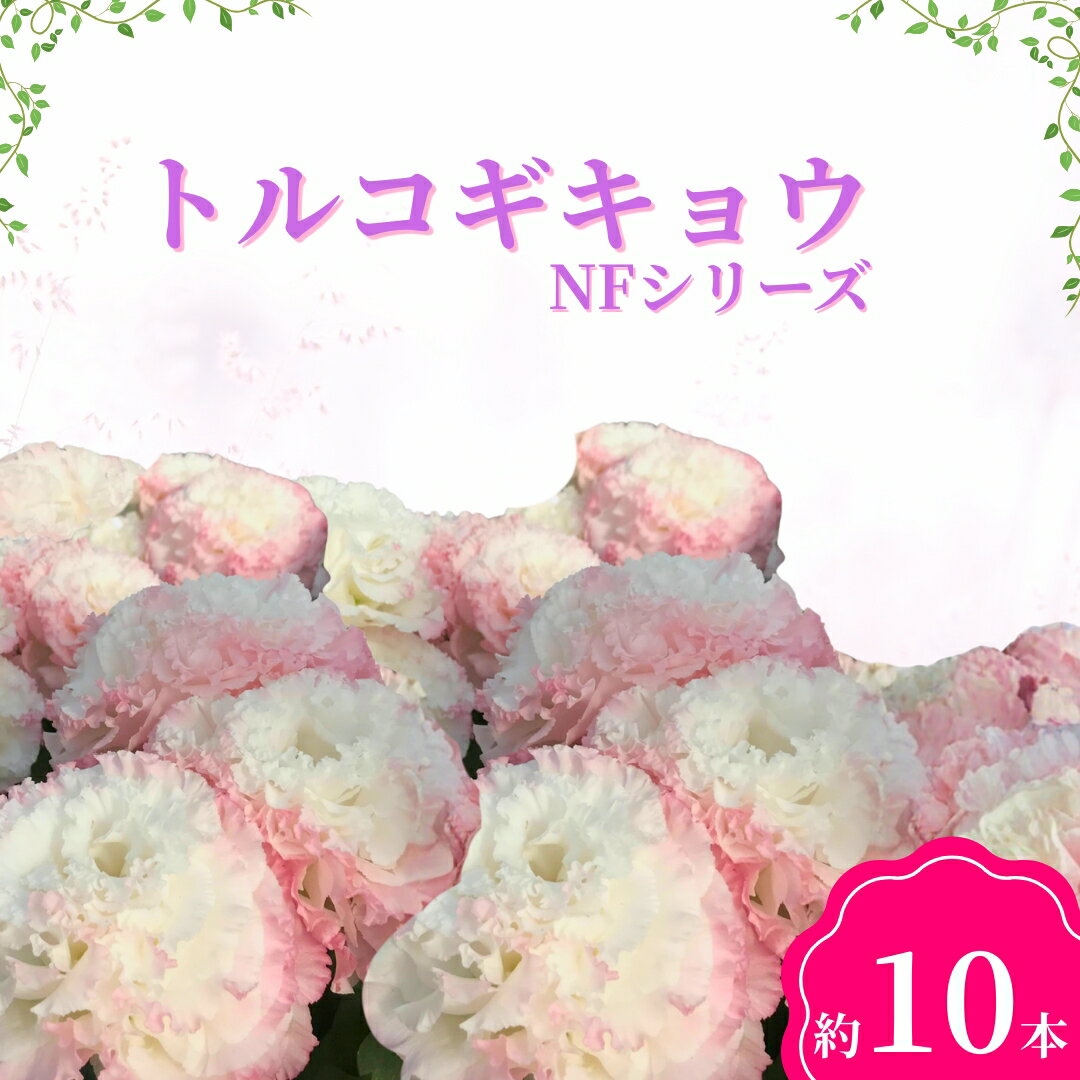 【ふるさと納税】【2026年先行予約】トルコギキョウ（NFシリーズ）｜ 花束 生花 フラワー とるこぎきょう 信州 長野県 千曲市