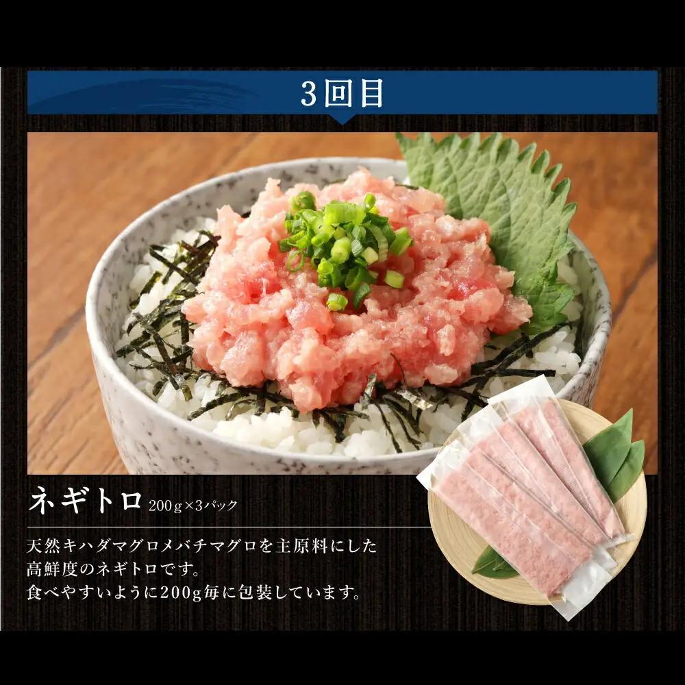 【定期便/計3回】海鮮【惣菜海鮮】tk013