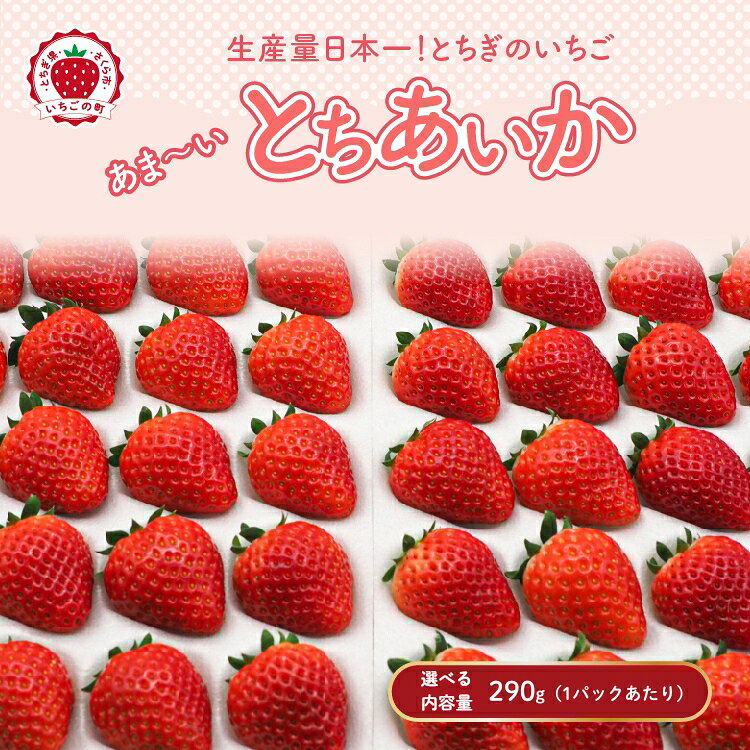 【ふるさと納税】＼選べる内容量／【先行予約】【数量限定】とちあいか 290g（1パックあたり）｜いちご イチゴ 苺 先行予約 栃木県 果物 くだもの フルーツ とちあいか 新鮮 贈答 ギフト 食べ比べ 真空パック ※2025年11月上旬頃より順次発送予定