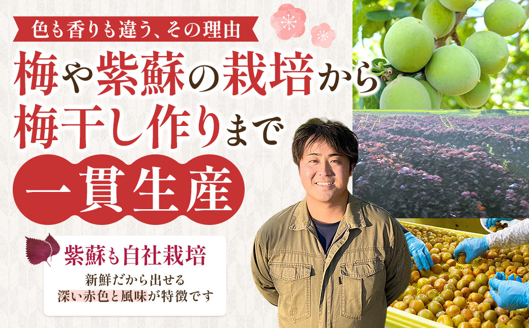 【ふるさと納税】宮城県角田産【無添加】まごころ手作り練り梅(150g)×3個