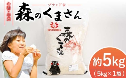 令和7年産 米 森のくまさん 5kg 【2025年11月上旬から2026年10月下旬発送予定】 白米 うるち米 お米 精米 コメ ごはん ご飯 おこめ 精白米 ブランド米 単一米 国産 熊本県産 九州 熊本県 宇城市 熊本宇城農業協同組合 JA熊本うき