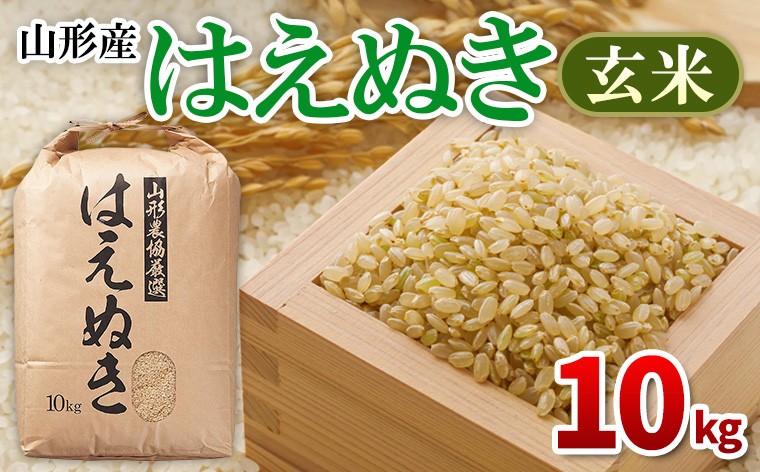 
                  はえぬき 玄米 10kg FY26-054
                