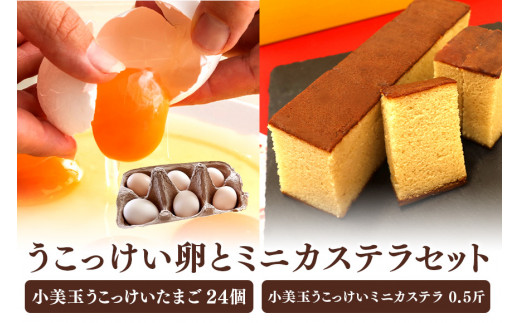 小美玉ミニカステラとうこっけい卵　24個（20＋補償4個）セット カステラ かすてら 烏骨鶏 卵 うこっけい 鶏卵 高級卵 高級 国産 ギフト スイーツ 菓子 焼き菓子 焼菓子 御贈答 お返し たまご 玉子 烏骨鶏の卵 安全 マニアさん 健康 美容 卵焼き 卵かけごはん TKG 37-N