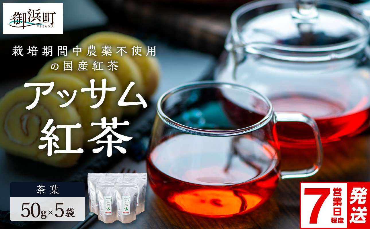 
                  〈入金確認～7営業日発送〉珍しい！国産アッサム紅茶（茶葉）【紅茶 茶葉 アッサム アッサム紅茶 アッサムティー 国産 スピード発送 栽培期間内農薬不使用 自然発酵 自然な甘み あっさり アッサムTea21 三重県 御浜町】
                