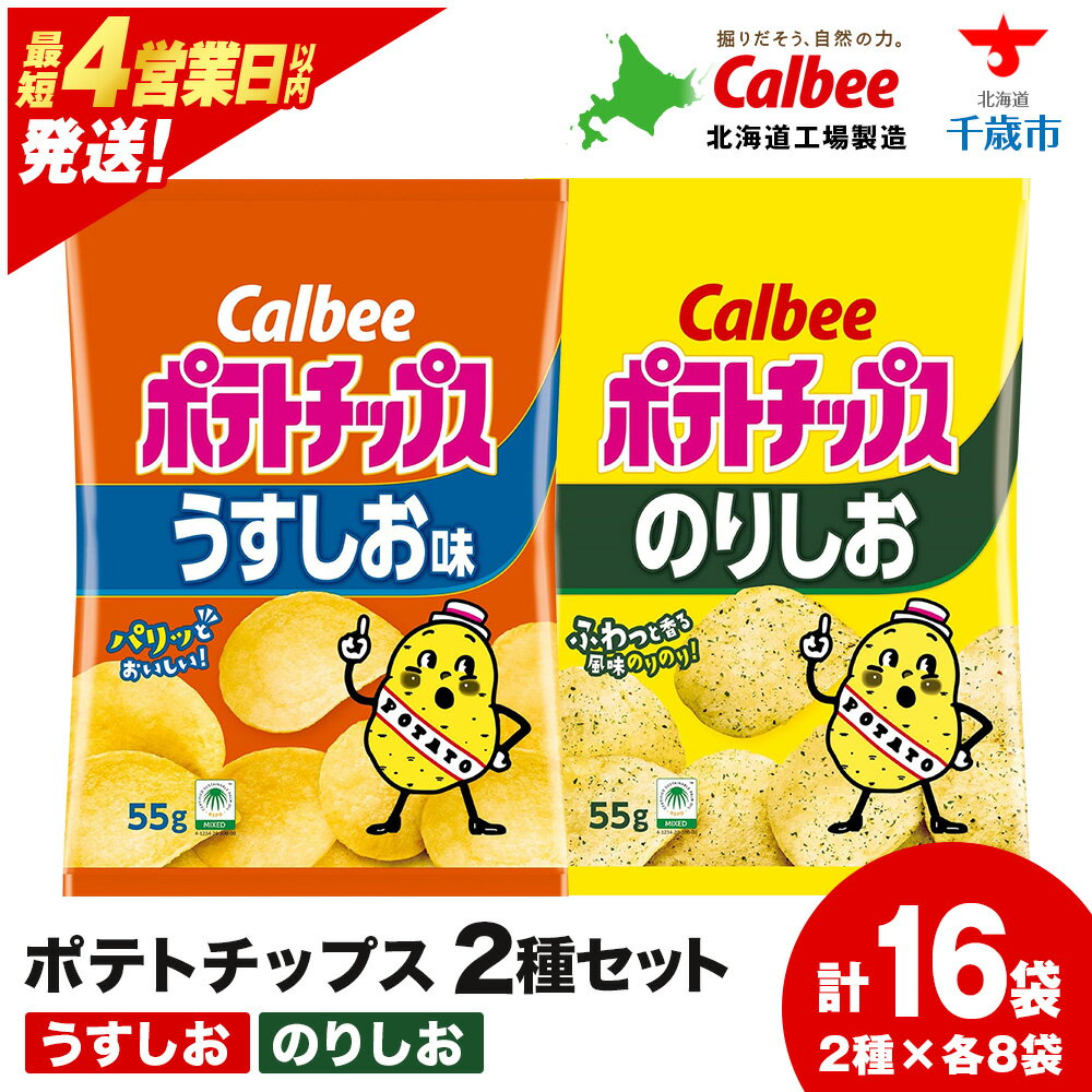 【ふるさと納税】カルビーポテトチップス 2種セット うすしお・のりしお 各8袋 《北海道工場製造》 スナック お菓子 北海道 千歳 ポテチ ポテトチップス 北海道ふるさと納税 千歳市 ふるさと納税【北海道千歳市】 ギフト ふるさと納税