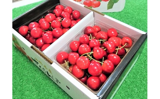 さくらんぼ（紅秀峰）１ｋｇ　秀品　２Ｌサイズ　0096-2601