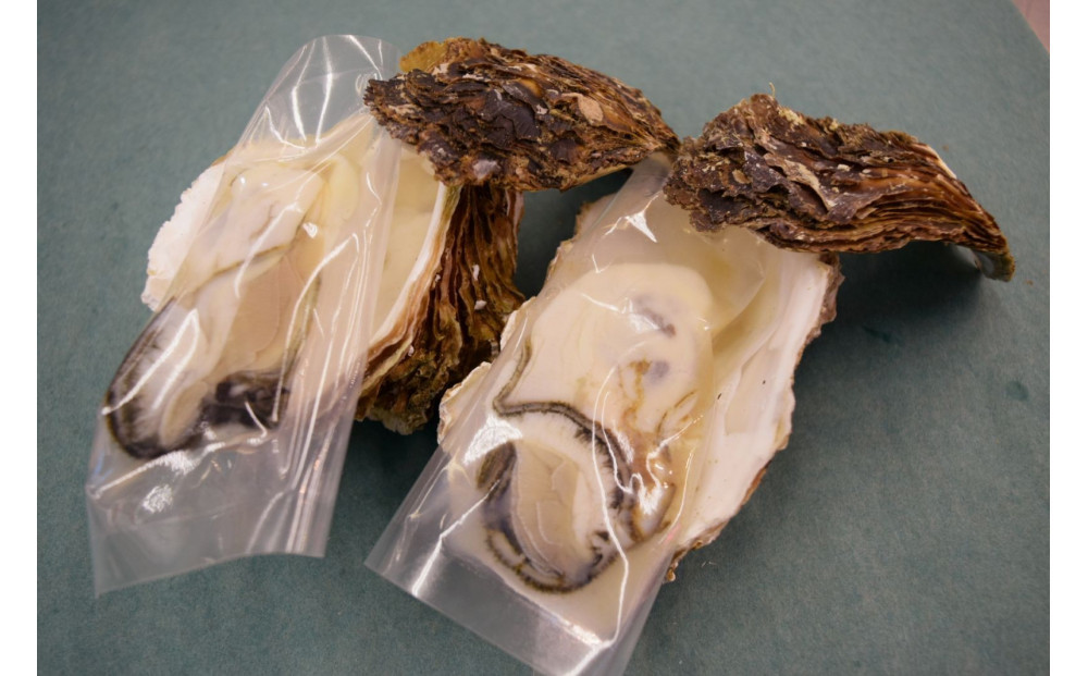 ＜平日着＞＜6月中旬～7月上旬頃順次配送＞今が旬！天然岩牡蠣(5～6個)