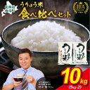 【ふるさと納税】うりゅう米 食べ比べ セット 新米 「 ゆめぴりか 5kg （ 5kg × 1袋 ）・ ななつぼし 5kg （ 5kg × 1袋 ）」 ブランド 米 ごはん おにぎり お弁当 ふっくら 粘り ほどよい甘み 冷めてもおいしい お取り寄せ 北海道 雨竜町 送料無料