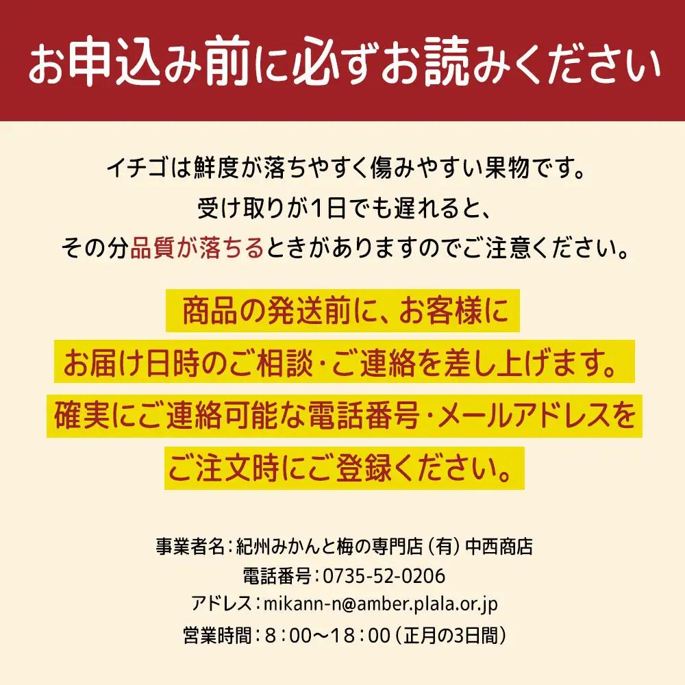 [先行予約] 和歌山県 オリジナル まりひめ イチゴ 2パック入り（3L～L寸）