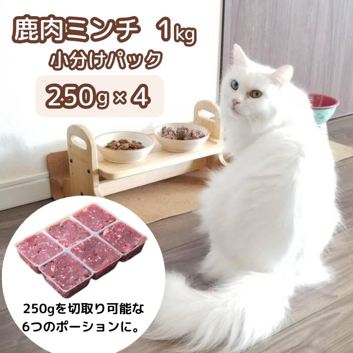【ふるさと納税】森のジビエ for PET 鹿肉ミンチ 小分けパック 250g×4パック(計1kg) ペットフード 小型 犬 猫 A-JK-A08A