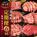 【ふるさと納税】宮崎牛 定期便 6回 焼肉 すきしゃぶ 定期 定期的 牛肉 肉 お肉 牛肩ロース 牛ウデ 牛モモ スライス 焼肉 牛肉定期便 赤身 赤身肉 霜降り 霜降り肉 焼肉用 スライス 小分け 使い勝手 料理 おかず 焼きしゃぶ すきしゃぶ しゃぶしゃぶ 宮崎県 宮崎市 送料無料