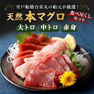 ふるさと納税 室戸市 厳選天然本マグロセット(大トロ・中トロ・赤身の食べ比べ3種セット) |  | 01