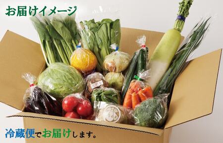 【年内発送】旬の野菜セット 詰め合わせ 15種類 国産 新鮮 お試し おまかせ お楽しみ