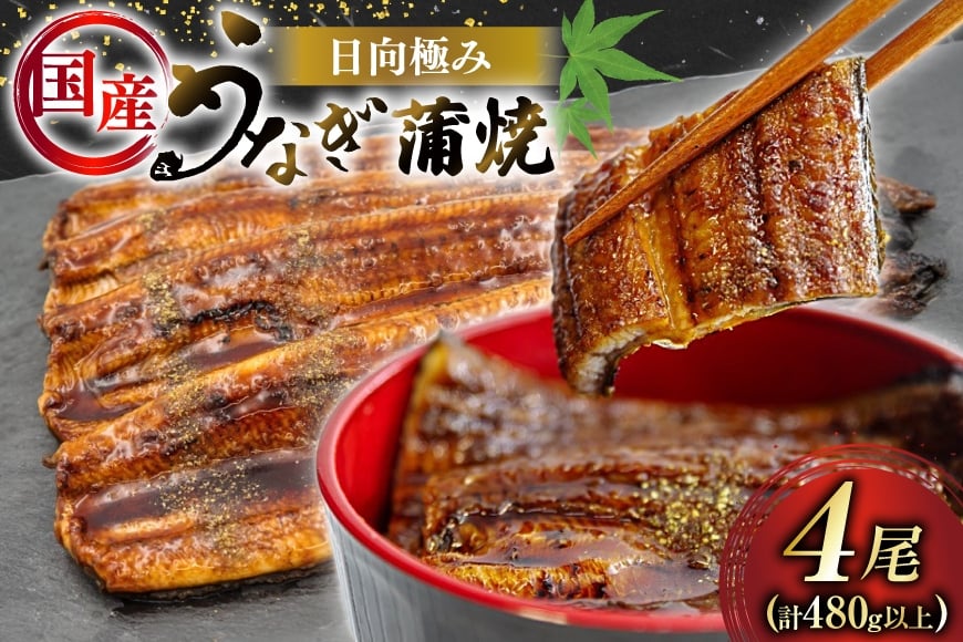 
            うなぎ 国産 日向極み うなぎ蒲焼 4尾 計480g以上 【たれ・山椒付き】 [日向サンパーク 宮崎県 日向市 452061501] ギフト 小分け 真空パック 鰻 ウナギ うなぎの蒲焼 蒲焼 蒲焼き
          