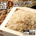 【ふるさと納税】【12ヶ月定期便】鹿島市産 さがびより 玄米 30kg（10kg×3袋） 定期便 12回発送 12か月 お米 米 国産 九州産 佐賀県 鹿島市 送料無料 V-20