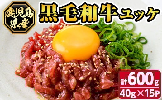 
            s705 鹿児島県産黒毛和牛ユッケ(計600g・40g×15パック) 鹿児島 国産牛 九州産 牛肉 黒牛 生食用 小分け 冷凍 ユッケ 黒毛和牛 牛 【カミチク】
          