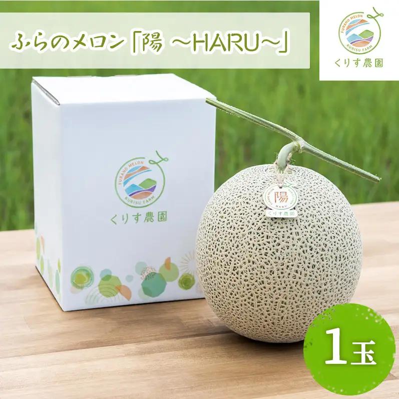 メロン 富良野 陽 HARU 赤肉 くりす農園【大玉2.3kg以上×1玉】【先行予約】