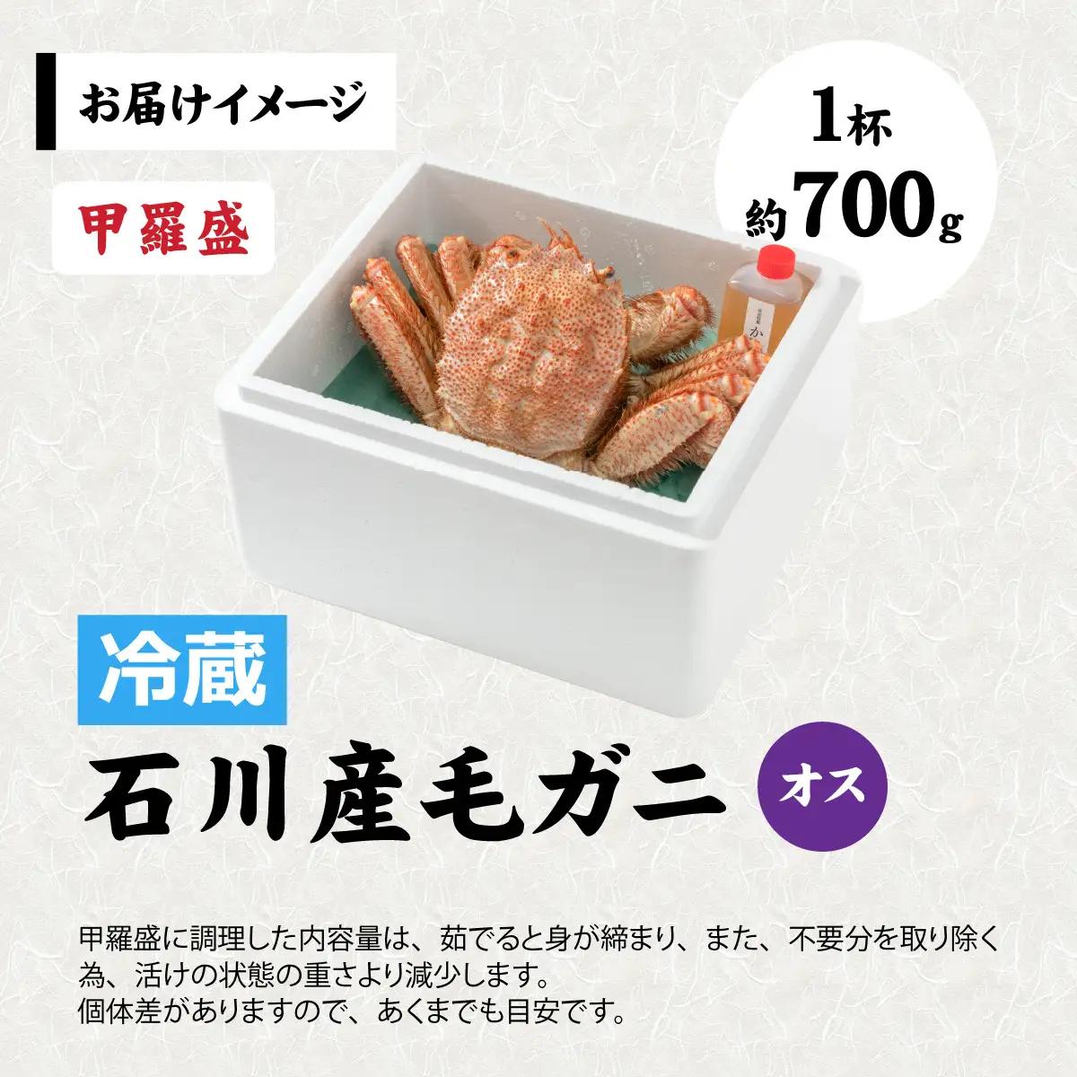 【毛ガニ】甲羅盛 北陸産 毛ガニ 700ｇ 前後 1杯 オス  [D-028007_02]