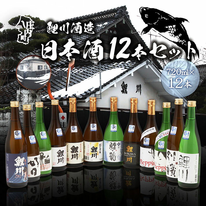 【ふるさと納税】鯉川酒造 日本酒 720ml×12本セット 飲み比べ 大容量 地酒 山形産原料 1725年創業（享保10年） 老舗酒蔵 山形 庄内町 ふるさと納税