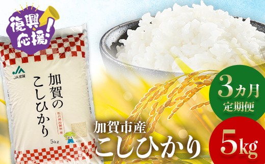 【定期便】【３カ月連続お届け】 令和7年産 こしひかり 5kg 生活応援米 精米 銘柄米 お米 米 ギフト 贈り物 グルメ 食品 復興応援米 F6P-3221