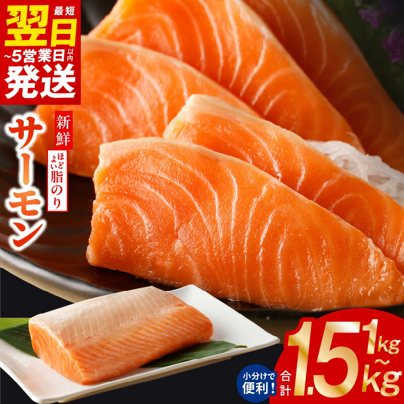 【ふるさと納税】寄附金額改定 最短翌日 サーモン 1kg / 1.5kg 定期便 訳あり 発送時期が選べる サイズ不揃い 鮭 ポーション 小分け ブロック 柵 刺身 海鮮丼 カルパッチョ 骨取り 生食 海鮮 冷凍 楽天限定 年内発送 最短 翌日発送 5営業日 大阪府