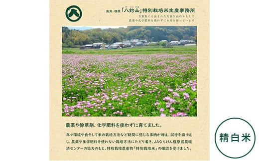 【新米】奈良・橿原　農薬や化学肥料不使用【令和6年産】ヒノヒカリ【精白米】5kg（5kg×1袋）