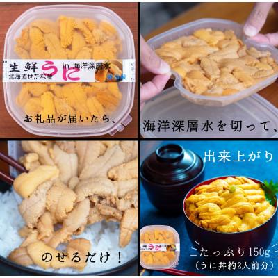 ふるさと納税 せたな町 【2025年6月下旬から順次発送】【北海道せたな町産】生鮮生うに(150g×1パック) |  | 03