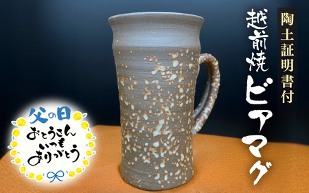 父の日 越前焼 マグカップ  桐箱入｜ 父の日 父の日 父の日 父の日 酒 ビール [e25-b018]