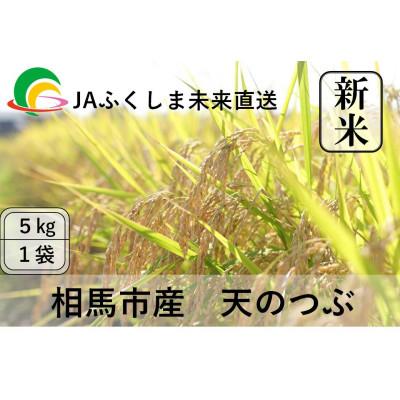 ふるさと納税 相馬市 令和7年度産【新米】JAふくしま未来　福島県産『天のつぶ』5kg