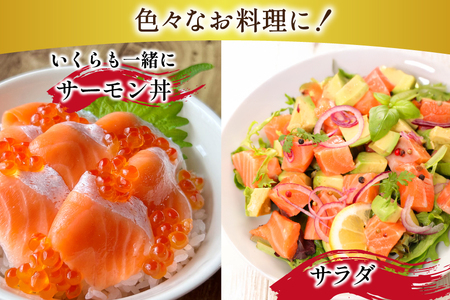 訳あり トロサーモン 切り落とし 1kg (125g×8p)  個包装  魚介類 魚 サーモン 海鮮 鮭 トロ お刺し身 刺し身 刺身 アトランティックサーモン 冷凍 訳アリ