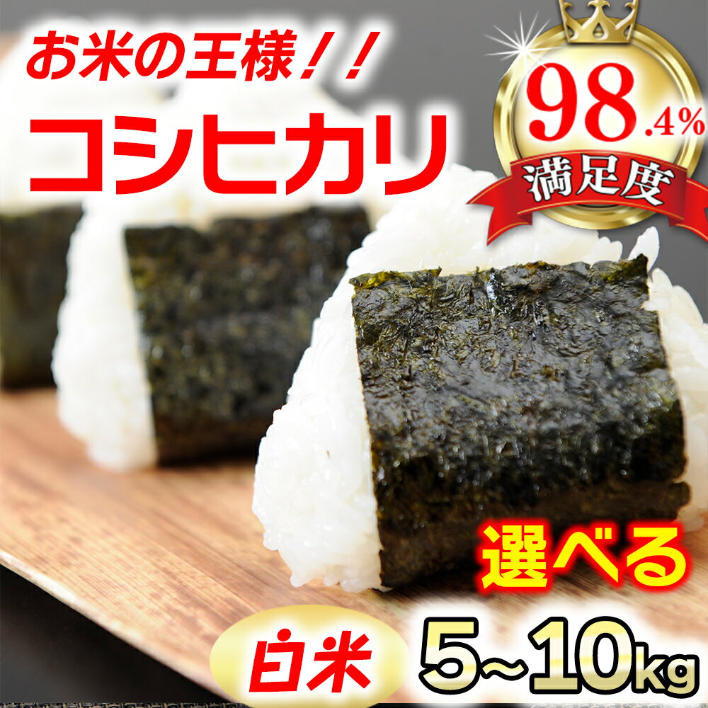 【ふるさと納税】【6年産】近江米 こしひかり コシヒカリ 5キロ / 10キロ 選べる 国産 滋賀県産 白米 精米 お米 送料無料 とらわか 贈り物 ギフト