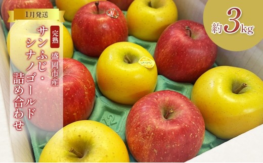 【先行予約】 1月発送 完熟サンふじ ジョナゴールド 詰め合わせ 約3kg （8～12玉） セット 完熟りんご 林檎 リンゴ 果物 フルーツ 旬の果物 旬のフルーツ 旬 季節の果物 季節のフルーツ 贈答用 贈答 贈り物 プレゼント 国産 産地直送 くだもの お取り寄せ 贈り物 ギフト 贈答用 岩手県 盛岡市 東北 岩手 盛岡 北田りんご園 kitada015