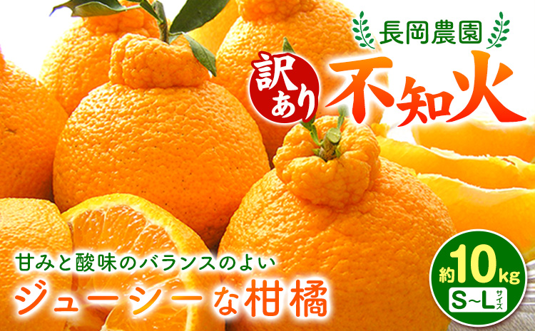 【先行予約】【訳あり】不知火 約10kg 長岡農園《2月中旬-4月上旬頃出荷》 和歌山県 日高川町 訳あり デコポン と同品種  柑橘 みかんしらぬいst-p