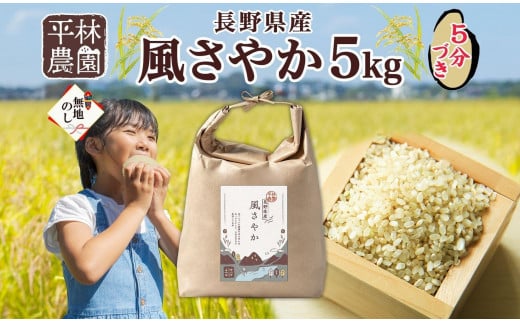 ＜新米予約＞無地熨斗 令和6年産 風さやか 5分づき米 5kg×1袋 長野県産 米 お米 ごはん ライス 分つき米 農家直送 産直 信州 人気 ギフト 平林農園 熨斗 のし 名入れ不可 送料無料 長野県 大町市