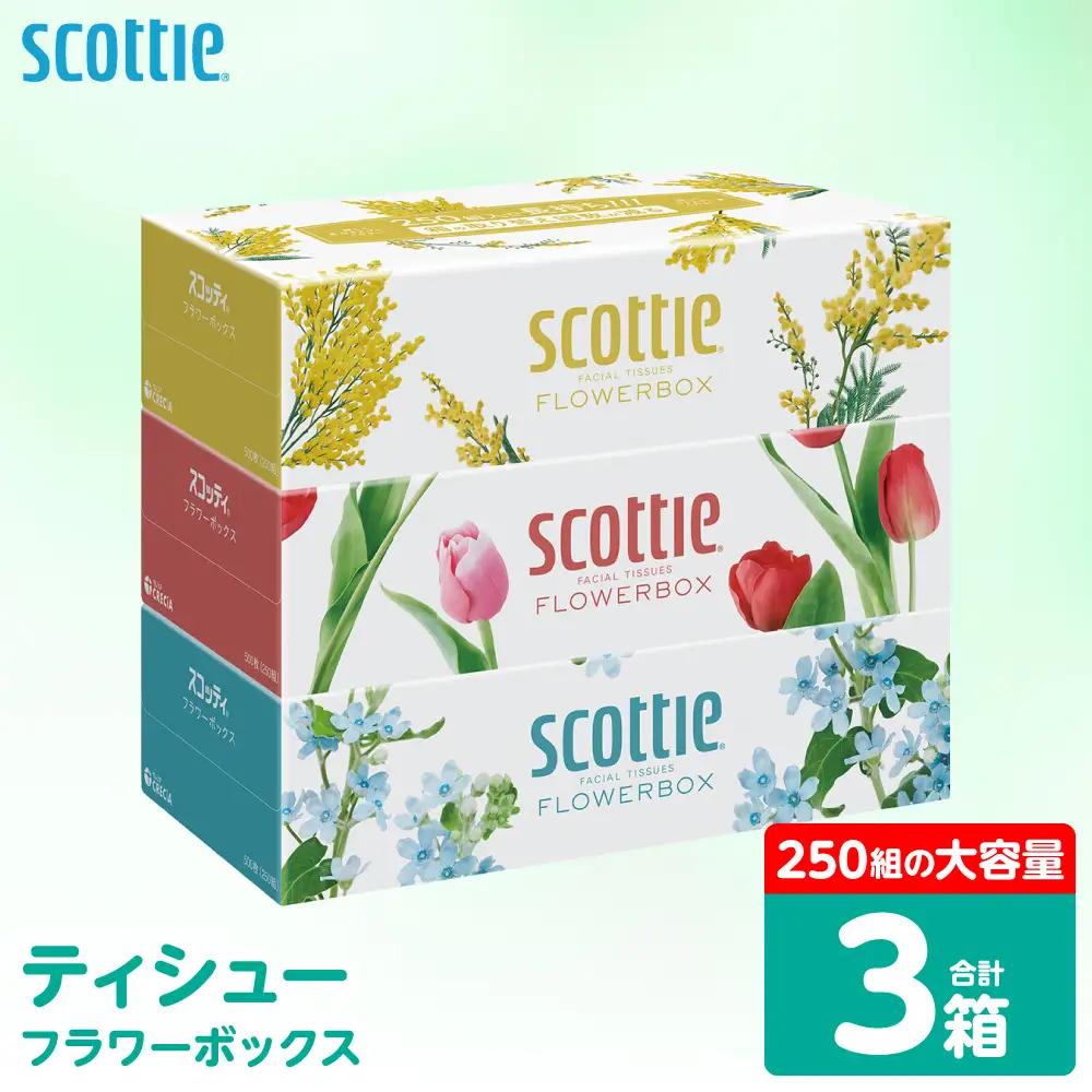 スコッティ ティッシュ 250組 3箱 ティシュー