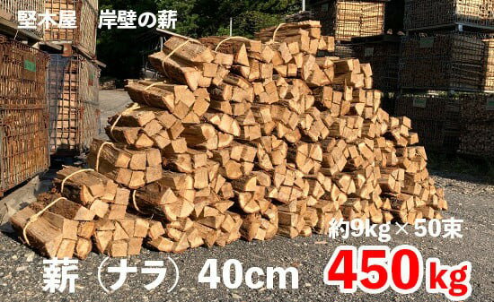 【ふるさと納税】 薪 まき 約450kg 9kg 50束 40cm 乾燥薪 薪ストーブ 焚火 焚き火 炭火 キャンプ アウトドア 暖炉 ストーブ ファイヤー 炎 堅木屋 岸壁の薪