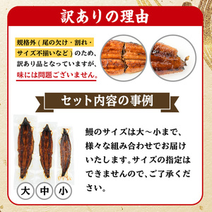 訳あり 数量限定！鹿児島県産うなぎ蒲焼3尾（合計約400g超） 国産 うなぎ 鰻 蒲焼 冷凍 訳あり 鹿児島 訳ありうなぎ うなぎ不揃い【A-1552H】